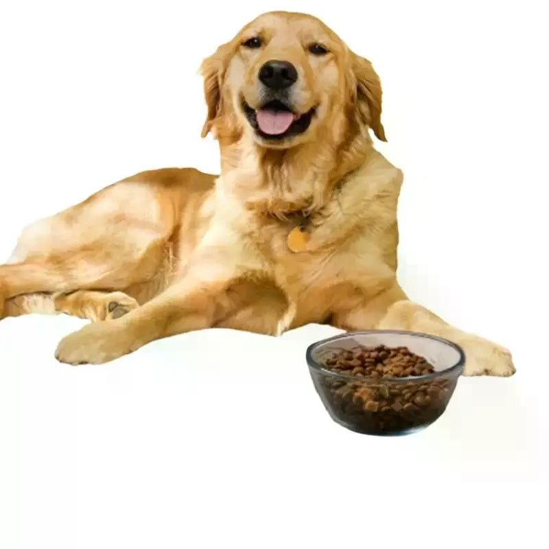 Pet Feeding Mat-Absorbent Pet Placemat For Food And Water Bowl With Waterproof Rubber Backing Quick Dry Water Mat For Dog Cat