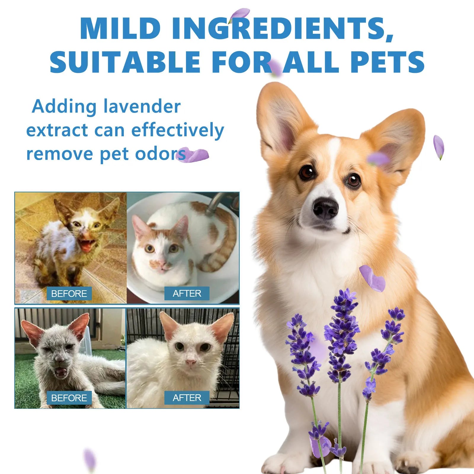 Pet Wash Free Essence Puppy Shampoo Softening Hair Remove Dirts Mites Deodorizing Itching Reduction Moisturizing Dog Body Wash